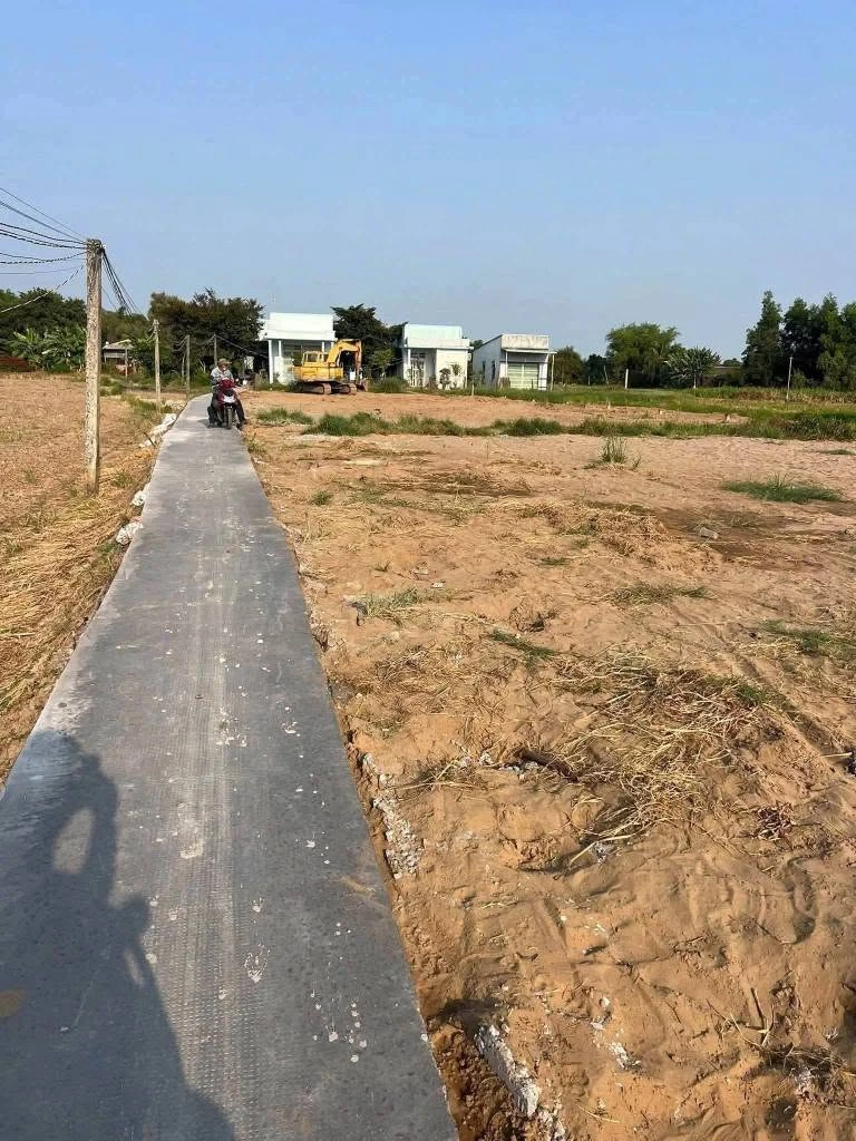 Bán 4 nền đất SHR 5x18m, 5x19m, 350-380 triệu, Cần Đước Long An - Ảnh thu nhỏ 2