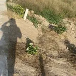 Bán lô đất Cần Thơ 480m² - 1 tỷ 150 triệu - Ảnh thu nhỏ 1