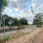 Bán đất 1600m² tại Bình An, Long Thành, sổ hồng riêng - Ảnh thu nhỏ 2