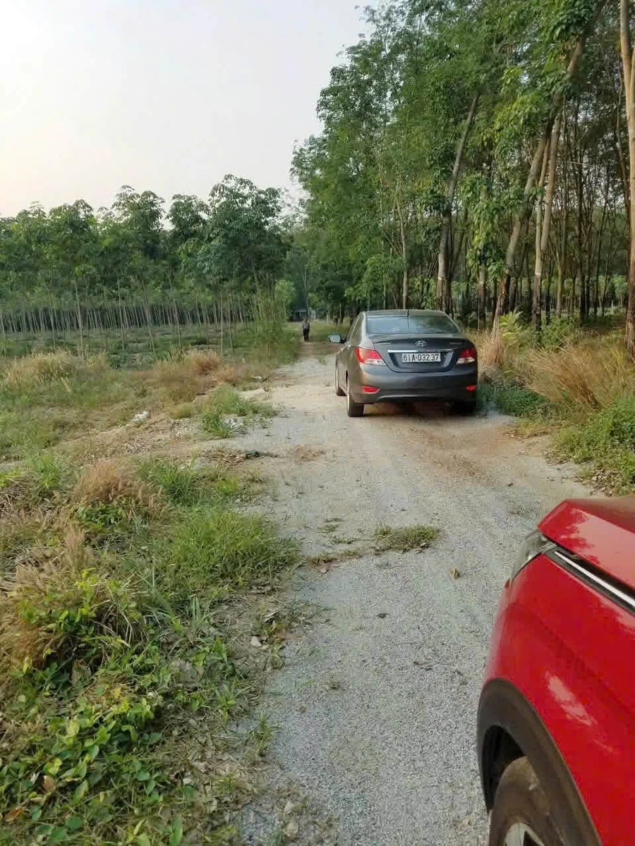 Bán lô đất 2000m² Phường Tân Hiệp, Phú Giáo 1.35 tỷ - Ảnh 1