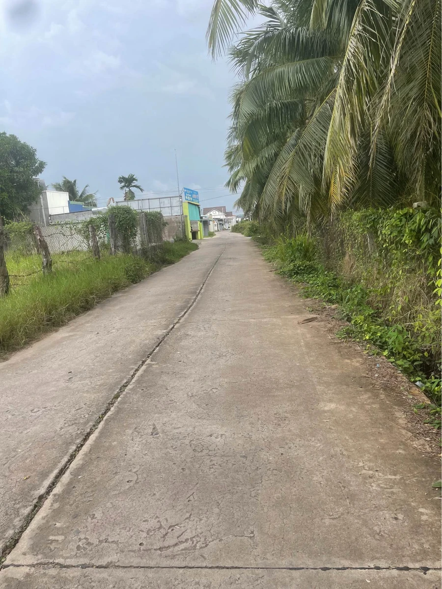 Bán đất 2000m² full thổ cư tại Xã Tuyên Quang - Ảnh thu nhỏ 2