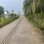 Bán đất 2000m² full thổ cư tại Xã Tuyên Quang - Ảnh thu nhỏ 2