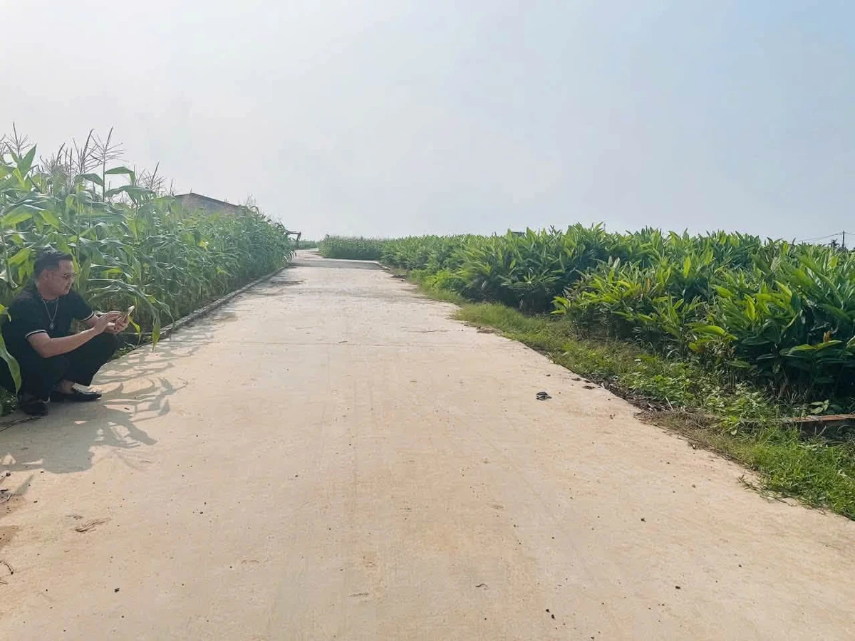 Bán đất 94,7m² mặt tiền 6m Lương Tài, Bắc Ninh - Ảnh thu nhỏ 2