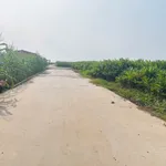 Bán đất 94,7m² mặt tiền 6m Lương Tài, Bắc Ninh - Ảnh thu nhỏ 2