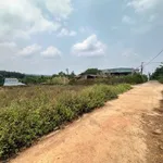 Bán đất 155m² (5x31m) Phường Bình Mỹ Tây, giá 920 triệu - Ảnh thu nhỏ 1