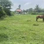 Bán đất Hóc Môn Nhựa Chợ Gà 686m² 2 tỷ 3 - Ảnh thu nhỏ 3