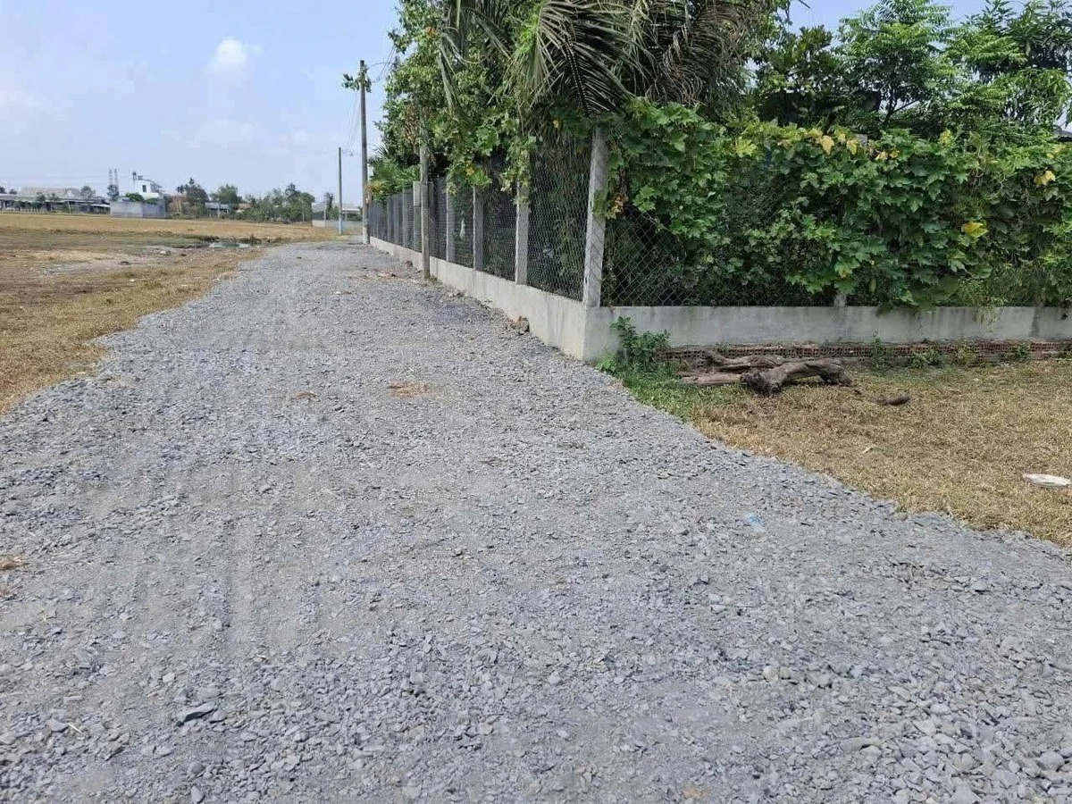 Bán lô đất thổ cư 95m² Ấp Mới 1, Xã Mỹ Nam, Huyện Đức Hòa - Ảnh thu nhỏ 3