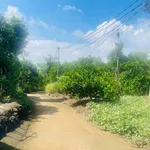 Bán đất 3,1 sào mặt tiền sát đường Cẩm Mỹ - Ảnh thu nhỏ 4