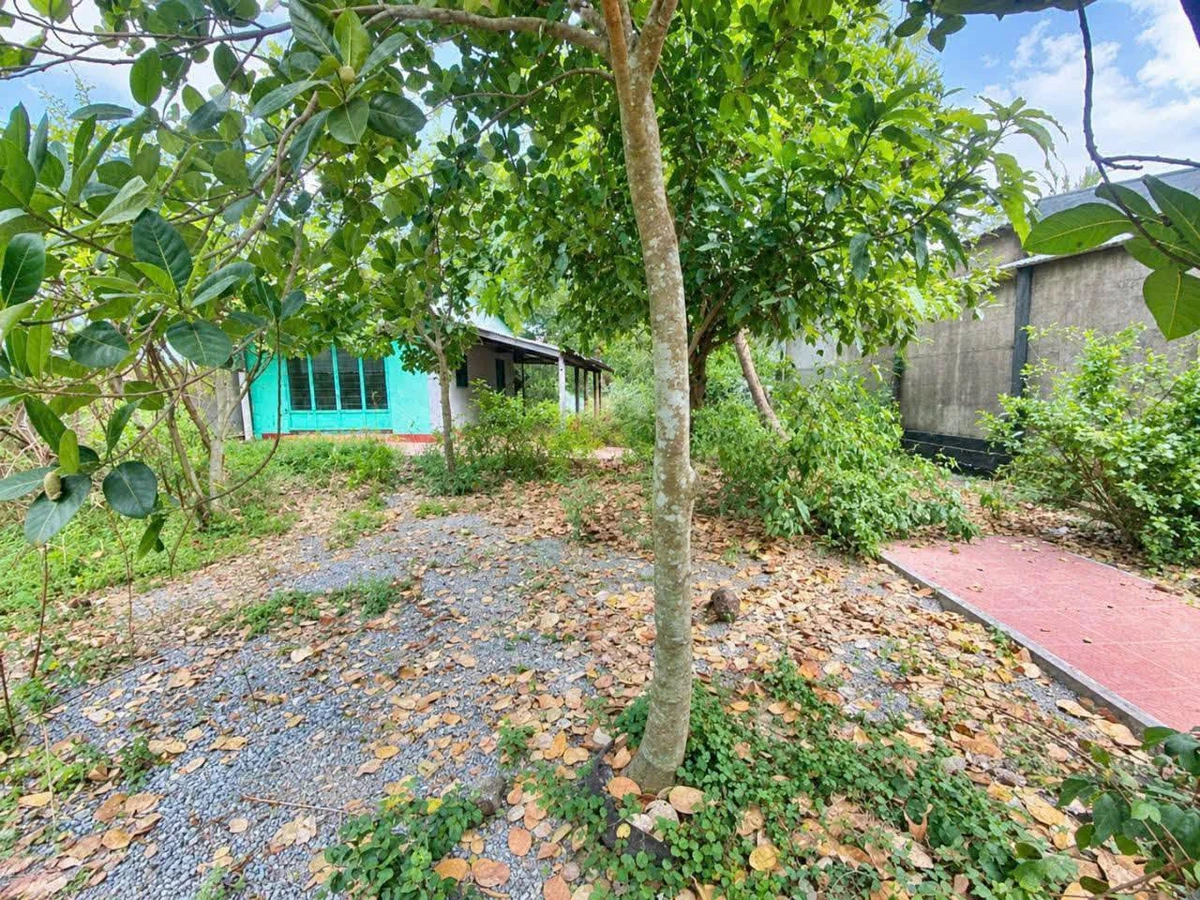 Bán đất 1000m2 có nhà cấp 4 ở Cần Dước, Long An - 2.8 tỷ - Ảnh thu nhỏ 3