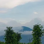 Bán gấp nhà & đất Gia Hiệp, Di Linh, Lâm Đồng (có sẵn dòng tiền 200tr/năm - giá còn thương lượng) - Ảnh thu nhỏ 11