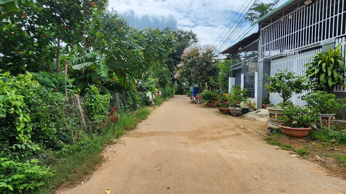 Bán đất hẽm cấp 1 Trần Quý Cáp 140m2, 2 tỷ 300 - Ảnh thu nhỏ 2