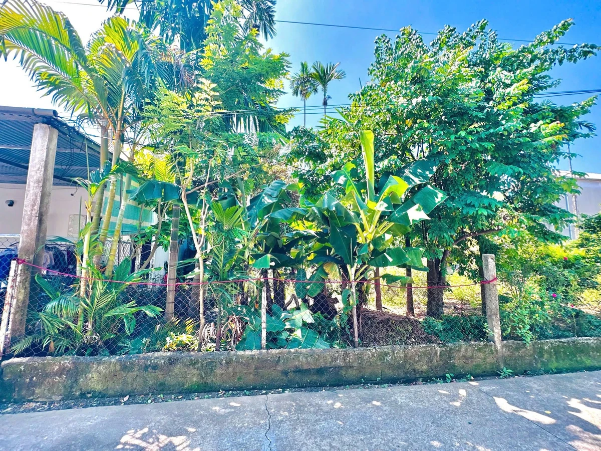 Bán đất kiệt ô tô Vỹ Dạ Huế 120m² giá 2 tỷ 5 - Ảnh thu nhỏ 2