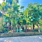 Bán đất kiệt ô tô Vỹ Dạ Huế 120m² giá 2 tỷ 5 - Ảnh thu nhỏ 2