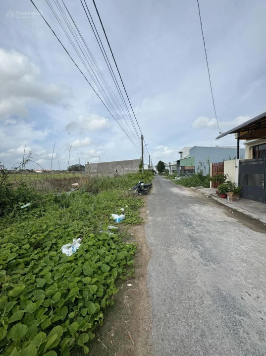 Bán đất tại Phường Mỹ Quý, thành phố Long Xuyên (nay là phường Long Xuyên), tỉnh An Giang - Ảnh thu nhỏ 2