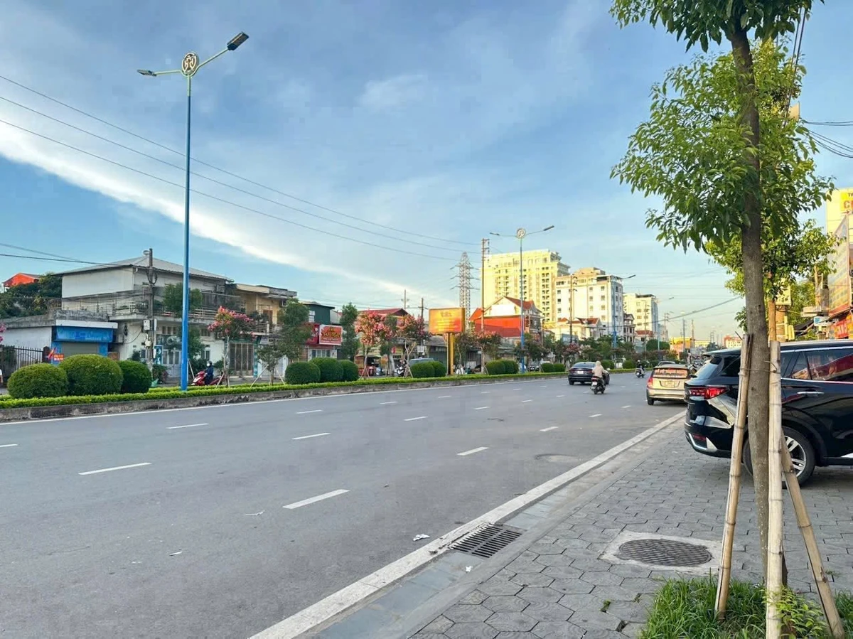 Bán đất mặt đường Nguyễn Lương Bằng 137.9m² Hải Dương 8 tỷ - Ảnh thu nhỏ 3