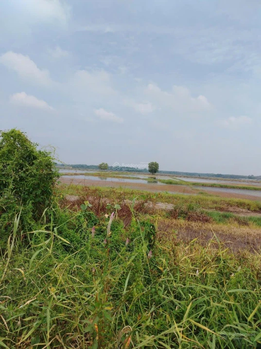 Tây Ninh - 22 tỷ MT QL22B. 6000m2 MT suối 1814.6m2 thổ cư. Ngang 35x60m. Tiện xây nhà xưởng CHDV
