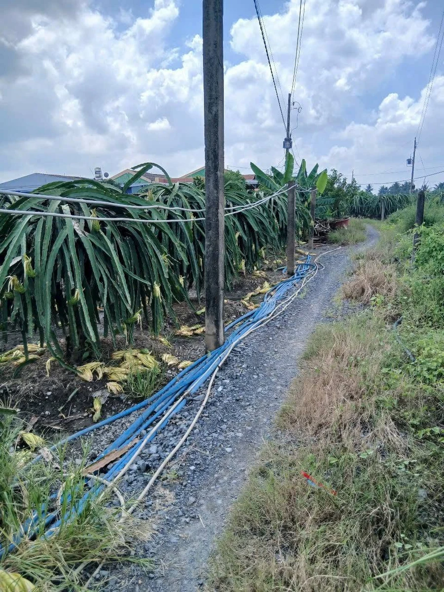Bán đất lúa 2 công Ấp Bình Ân, Long An - Ảnh 1