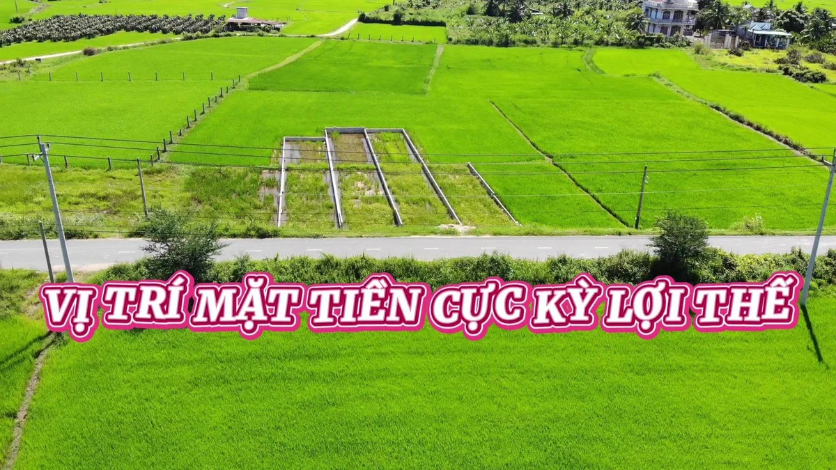 Bán đất mặt tiền Thuận Minh Lâm Đồng 140-160m2 - Ảnh thu nhỏ 2