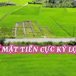 Bán đất mặt tiền Thuận Minh Lâm Đồng 140-160m2 - Ảnh thu nhỏ 2