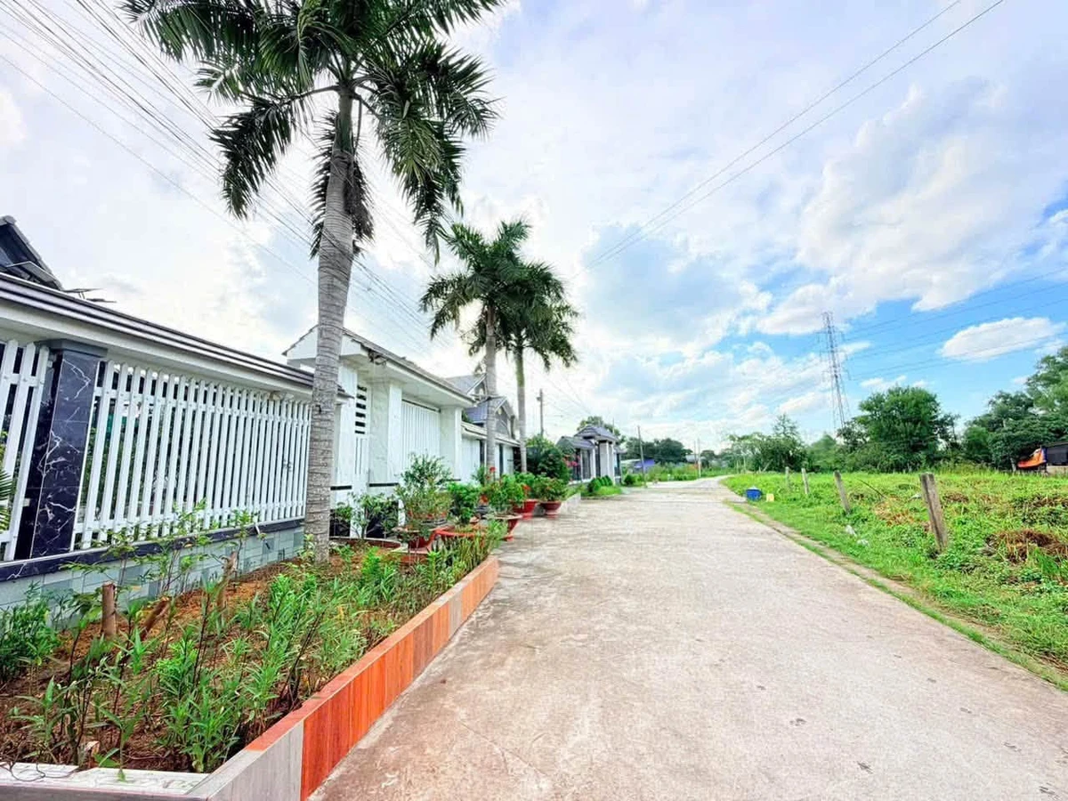 Bán đất Tây Ninh Phường Gò Dầu 120m2 giá 390 triệu - Ảnh thu nhỏ 4