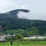 Bán đất 100m2 giá 1 tỷ tại Đà Lạt gần Đèo Prenn - Ảnh thu nhỏ 4