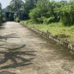 Bán đất 9 trăm 90 triệu đường xe hơi - Ảnh thu nhỏ 9
