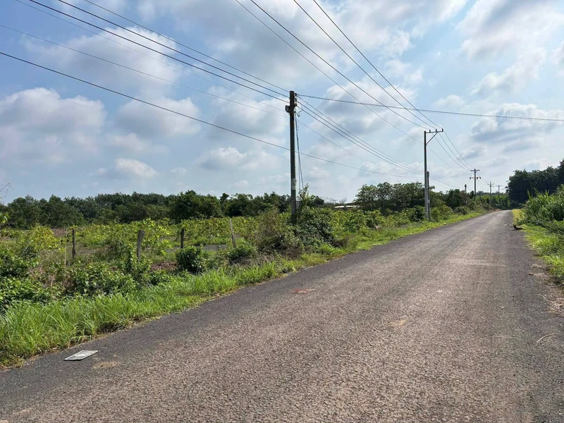 Bán đất thổ cư 490m² gần trường học, Tỉnh lộ 833, Đức Tân, Tân Trụ, Long An – 750 triệu chungcudanang