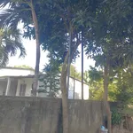 Bán nhà 3 tầng - đất trăm mét - giá chỉ nhỉnh hơn 2 tỷ TP. Huế! - Ảnh thu nhỏ 4