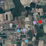 Bán đất nền 310m² giá 250 triệu Bình Tân - Ảnh thu nhỏ 3