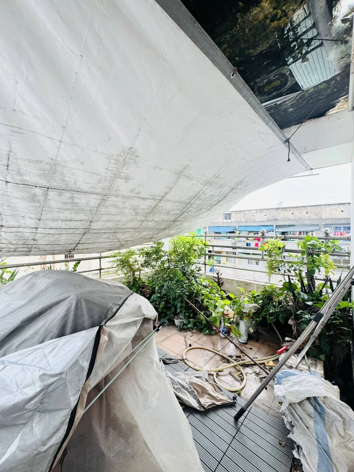 Bán nhà hẻm thông đường Bà Hạt, Quận 10, 37m², 4 tầng BTCT, 3PN 4WC, 6 tỷ - Ảnh 1