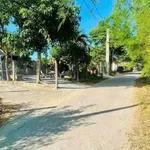 Bán đất 145m2 full thổ cư Tuy Phước, Bình Dương 400 triệu - Ảnh thu nhỏ 2