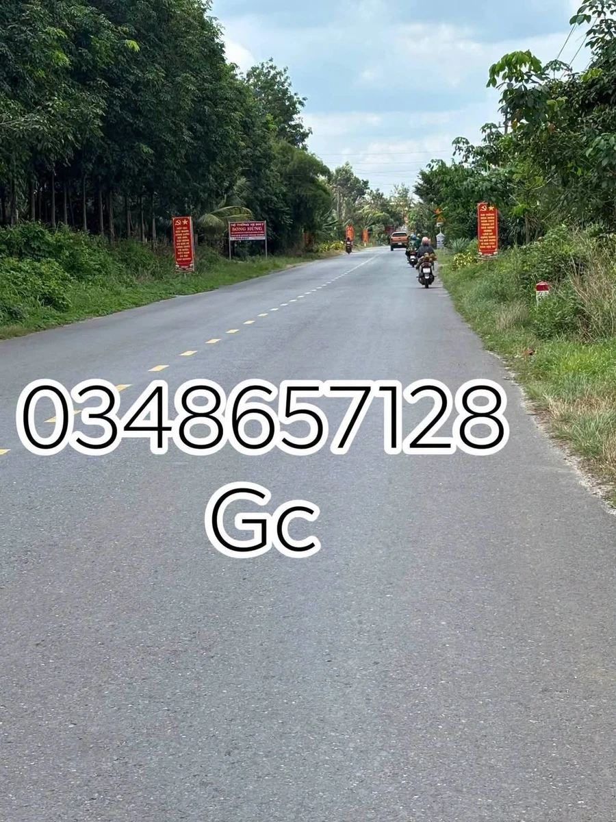 Bán đất mặt tiền DH507 An Thái Phú Giáo 2.2ha, giá 2.3 tỷ - Ảnh 1