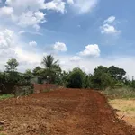 Bán đất Bình Chánh 400m2, 2.5 tỷ - Ảnh thu nhỏ 2
