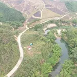 Bán đất 1000 m² tại Xã Đồng Sơn, Quảng Ninh, sổ hồng - Ảnh thu nhỏ 1