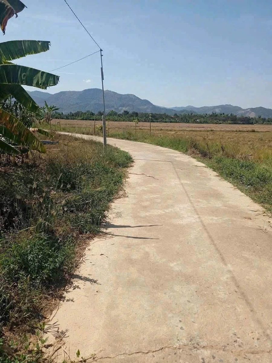 Bán đất 800m2 Suối Hiệp Nha Trang 350 triệu - Ảnh thu nhỏ 2