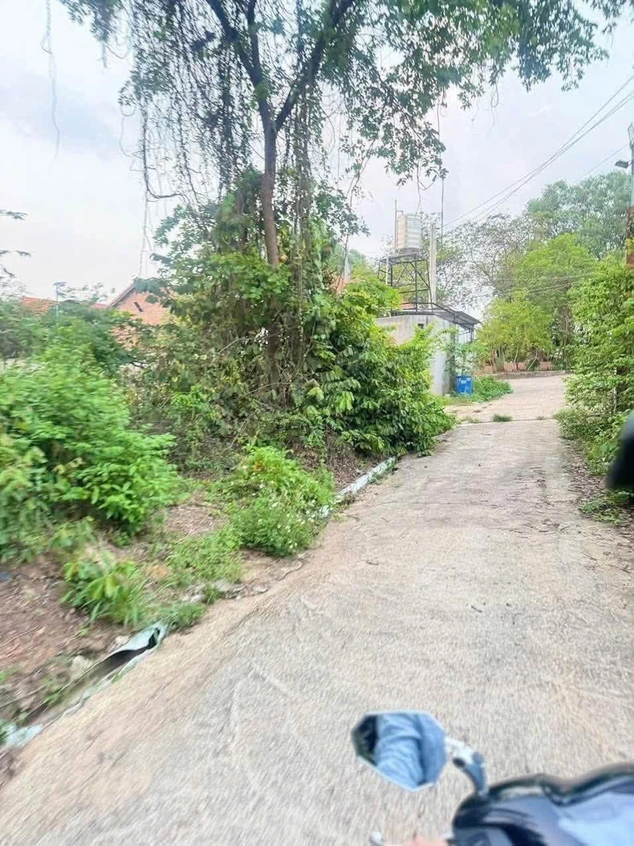 Bán đất sổ hồng riêng 98m² Nhà Bè 1,299 tỷ - Ảnh thu nhỏ 2