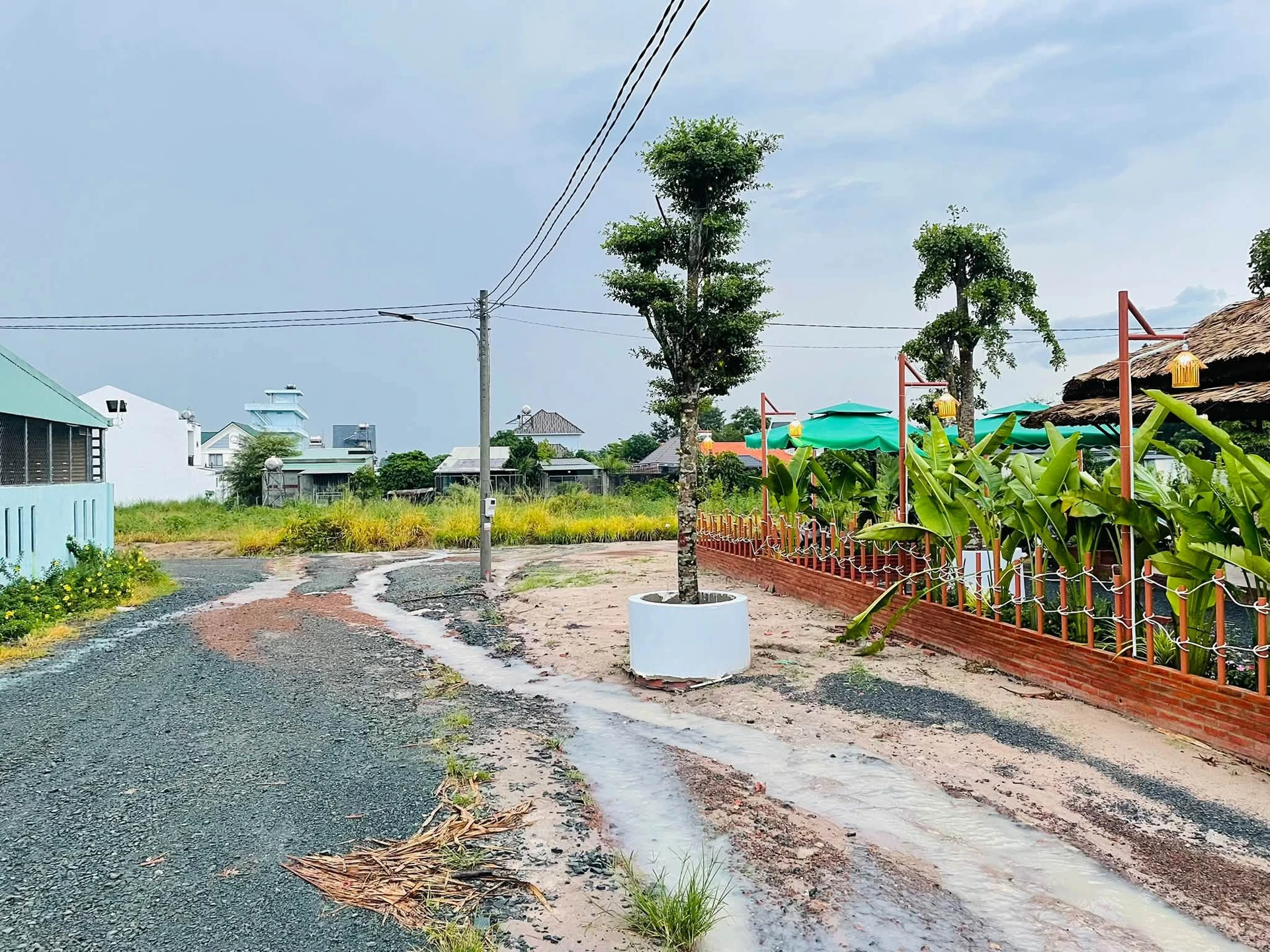 Bán đất 230m² có thổ cư Chơn Thành 685 triệu - Ảnh 1