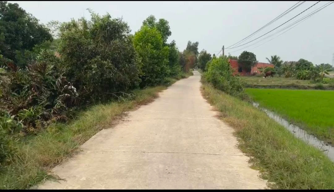 Bán đất 8.500m² view kênh ở Tây Ninh, giá 1 tỷ 100 triệu - Ảnh thu nhỏ 2