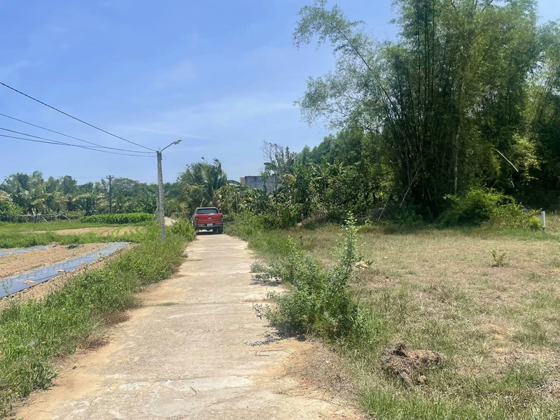 Bán đất view nghỉ dưỡng 2386m2 Đồng Nai gần Trị An 295met