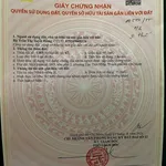 Bán đất Quận 12, 100m² mặt tiền Nguyễn Ảnh Thủ 5.9 tỷ - Ảnh thu nhỏ 4