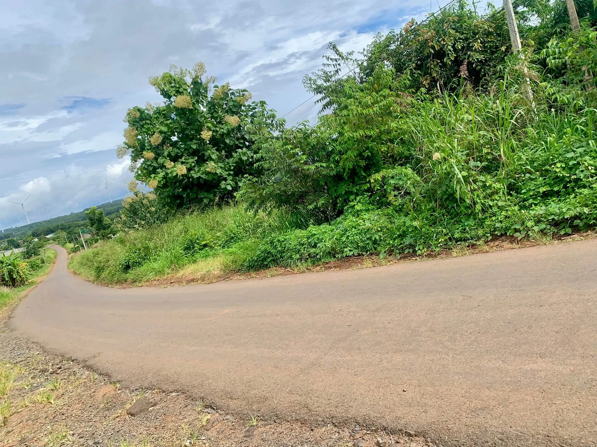 Bán rẫy cà phê 4,5 ha Đắk Lắk, có cơ sở vật chất - Ảnh thu nhỏ 2