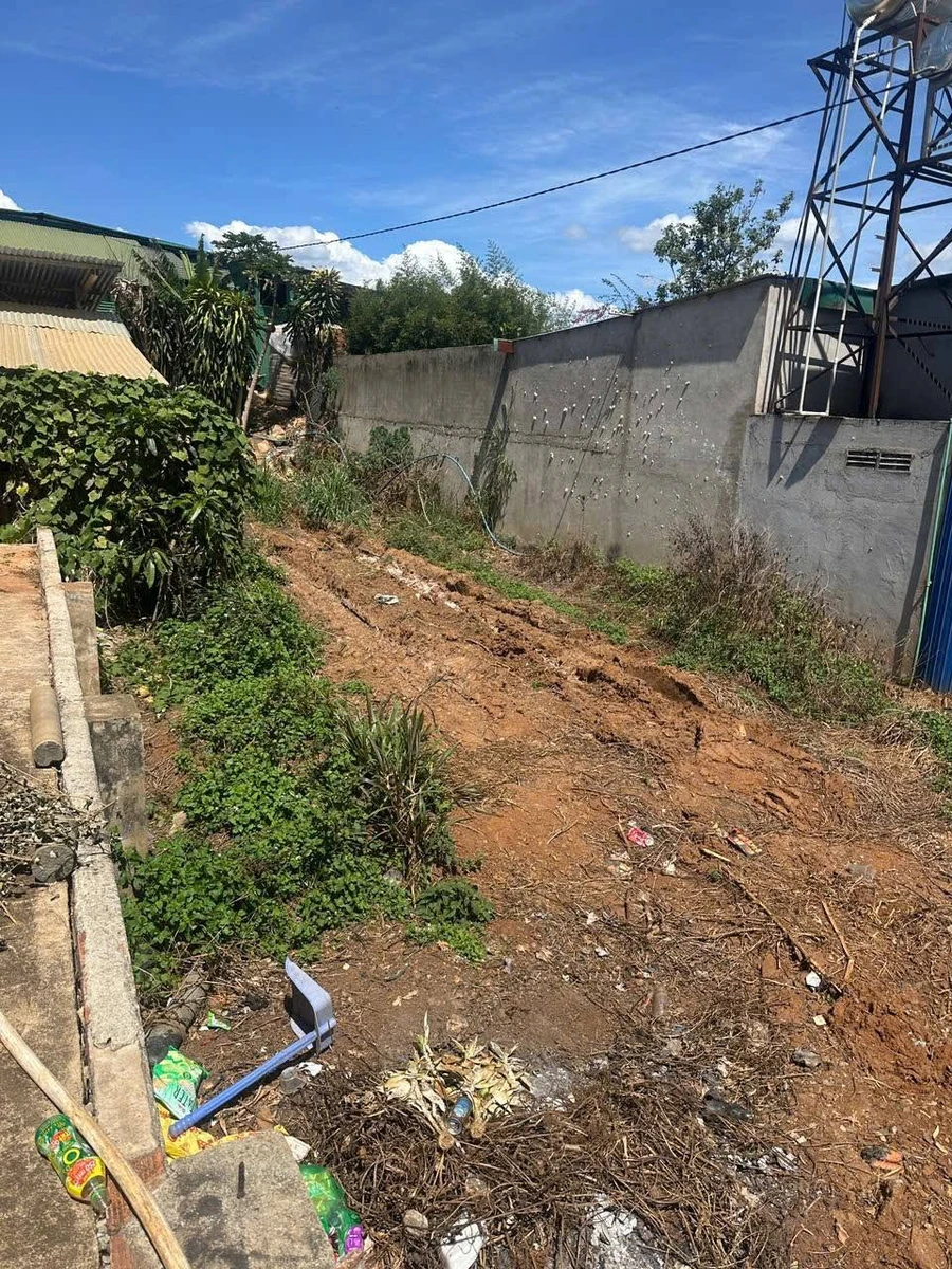 Bán đất Suối Thông C Đơn Dương Lâm Đồng 301m2 - Ảnh thu nhỏ 5