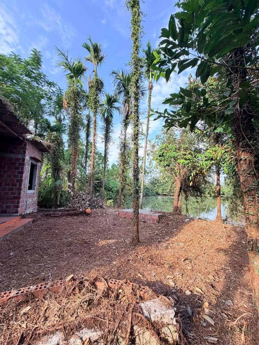 Bán 2500 m² đất 3 đường thông Hoa Động, Hải Phòng - Ảnh thu nhỏ 2