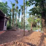 Bán 2500 m² đất 3 đường thông Hoa Động, Hải Phòng - Ảnh thu nhỏ 2
