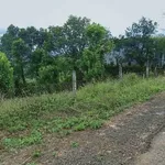 Bán đất mặt tiền 2.000m² Nghĩa Phú, Lâm Đồng 900 triệu - Ảnh thu nhỏ 1