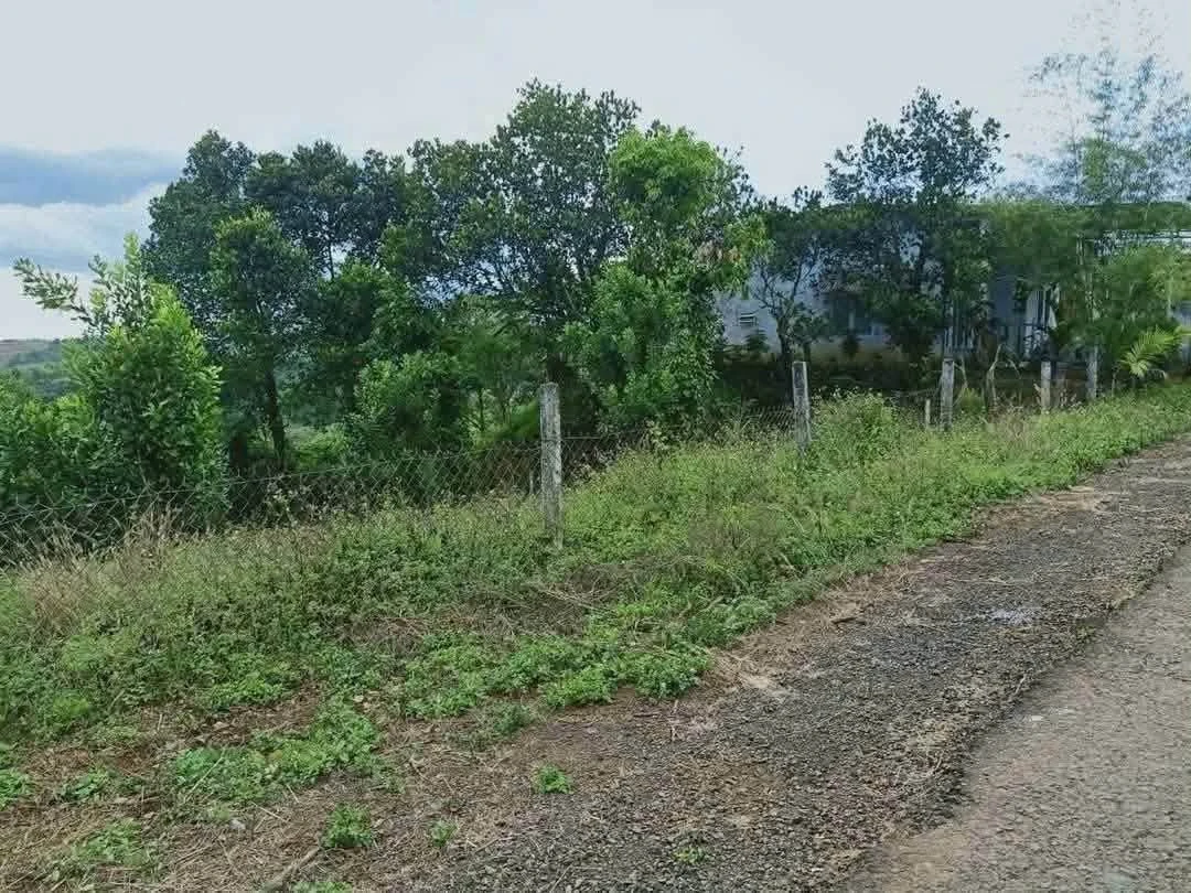 Bán đất mặt tiền 2.000m² Nghĩa Phú, Lâm Đồng 900 triệu - Ảnh 1