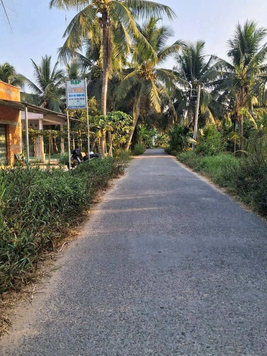 Bán đất mặt tiền Trần Văn Ấn 2200m2 Trà Vinh - Ảnh thu nhỏ 3