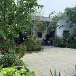 Bán nhà vườn 3PN Long An 500m² giá 1 tỷ 550 triệu - Ảnh thu nhỏ 2