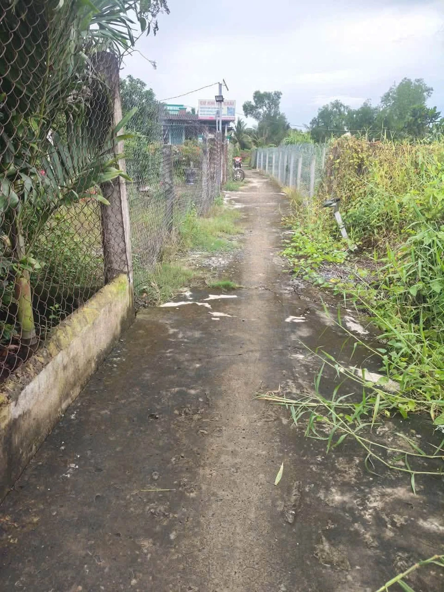 Bán lô đất 198,5m2 thổ cư, sổ hồng riêng tại Ấp 6 Nhựt Chánh, Bến Lức, Long An - Ảnh thu nhỏ 2