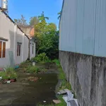 Bán đất 250m² sát mặt tiền đường Thanh Quý, Thuận An, Bình Dương - Ảnh thu nhỏ 2
